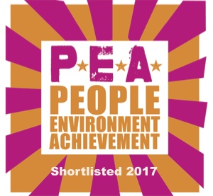 P.E.A. Awards, shortlisted 2017